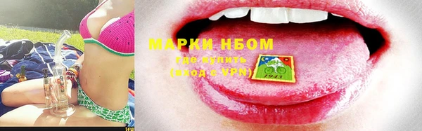 винт Каменка