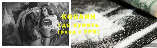 винт Каменка