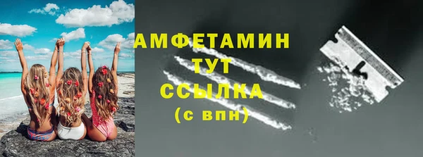 винт Каменка