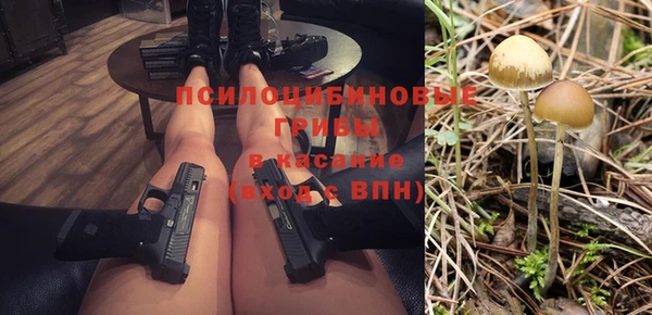 меф Каменногорск