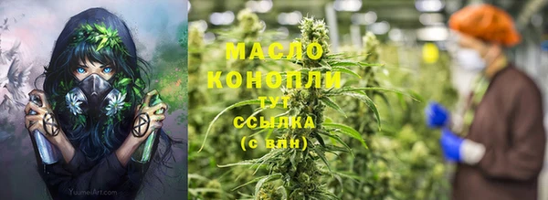 винт Каменка