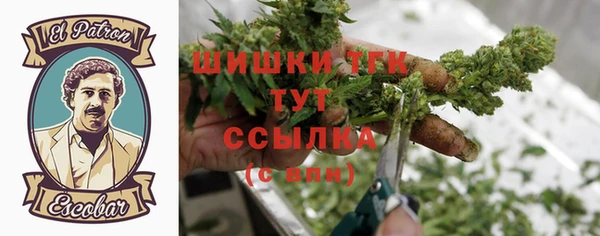 винт Каменка