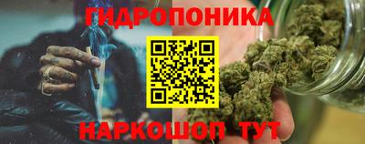 крисы Донской