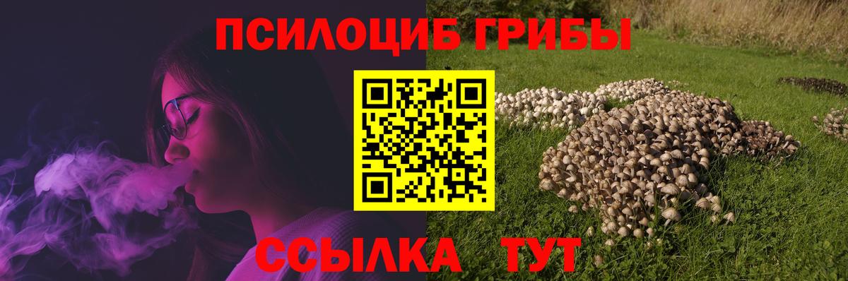 Псилоцибиновые грибы мицелий  Вход с VPN  Новочеркасск 