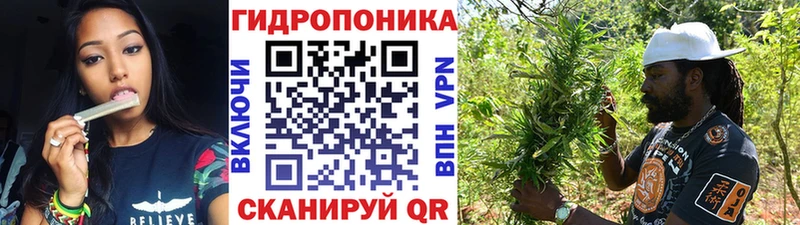 цена наркотик  Новочеркасск  Конопля Amnesia 